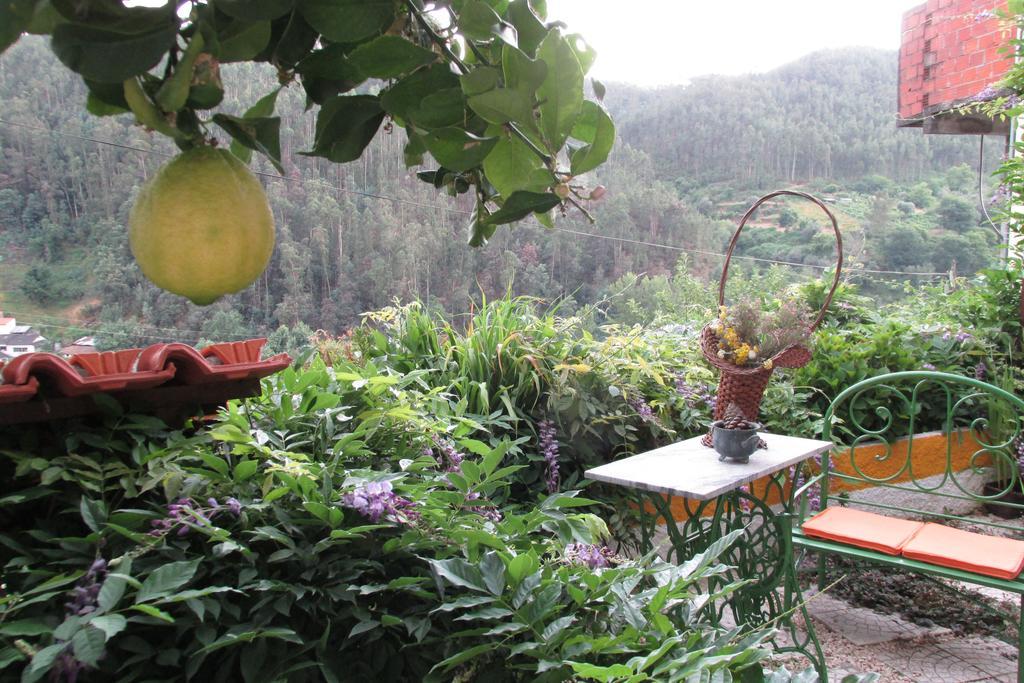 Terracos Da Beira Guest House Segade Phòng bức ảnh