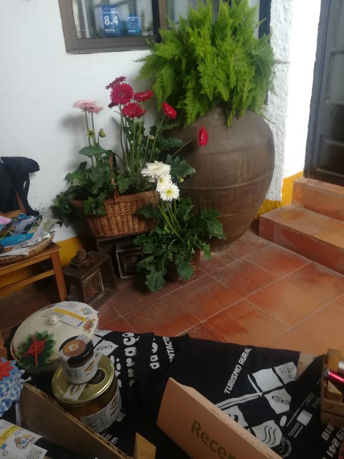 Terracos Da Beira Guest House Segade Ngoại thất bức ảnh